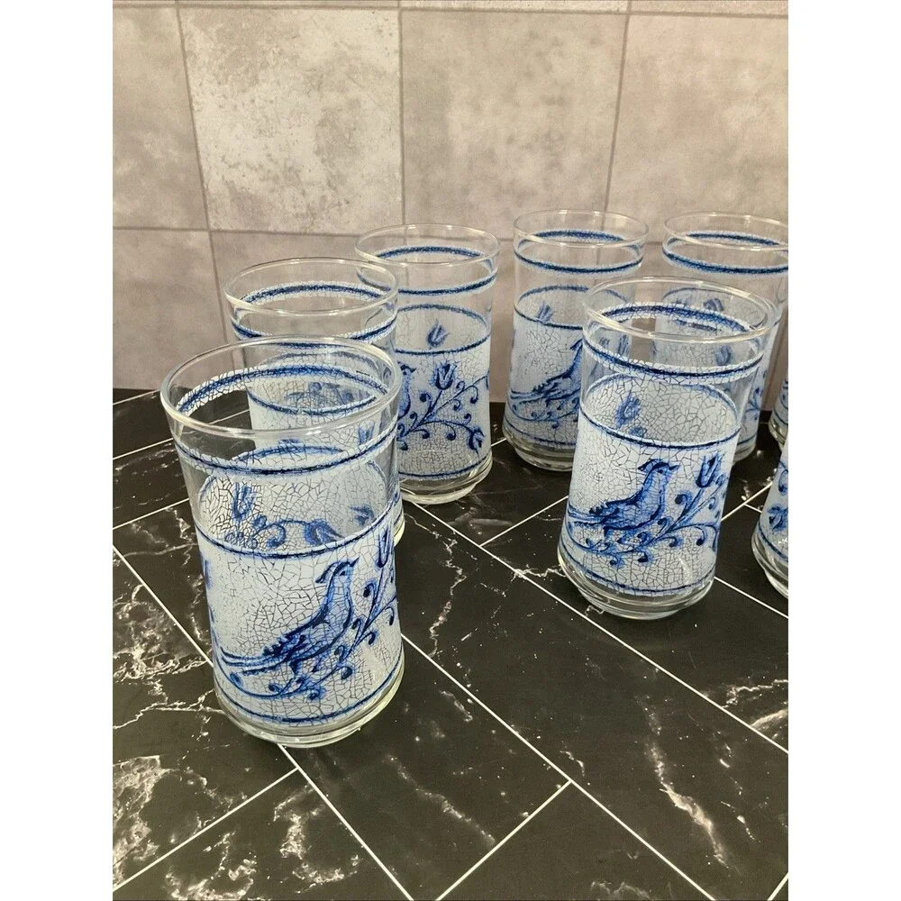 Libbey 10 oz glasses Frosted Blue bird and flower 5.25” X 2.50” Set of 11
